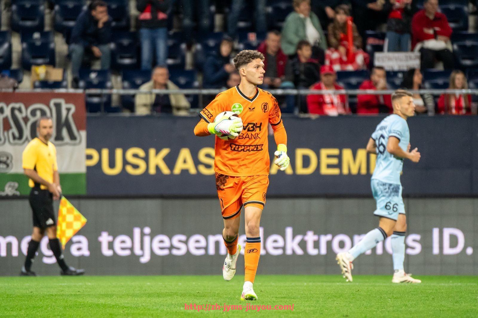 九游jiuyou-法甲联赛整体收入及经济效益分析报告